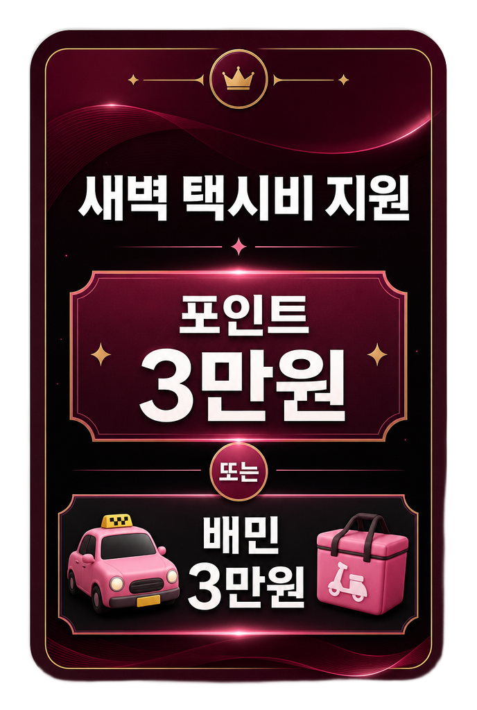 새벽 택시비 지원 포인트 3만원 또는 배민 3만원